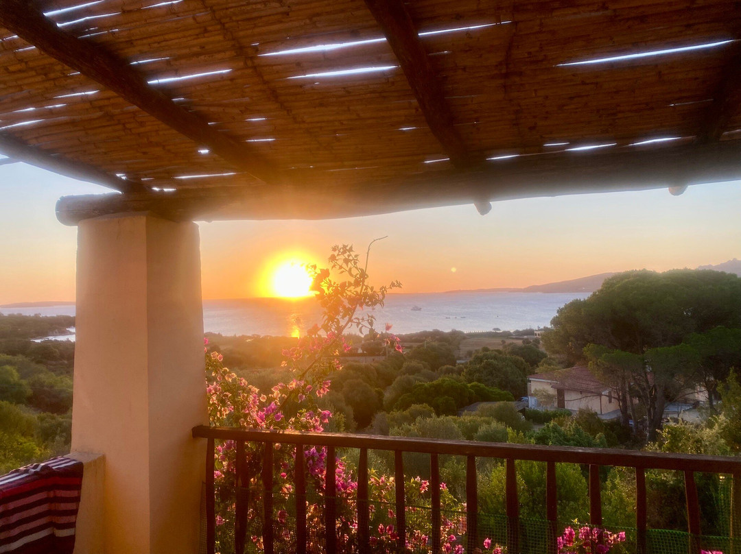 Stelle Marine Hotel & Resort主图