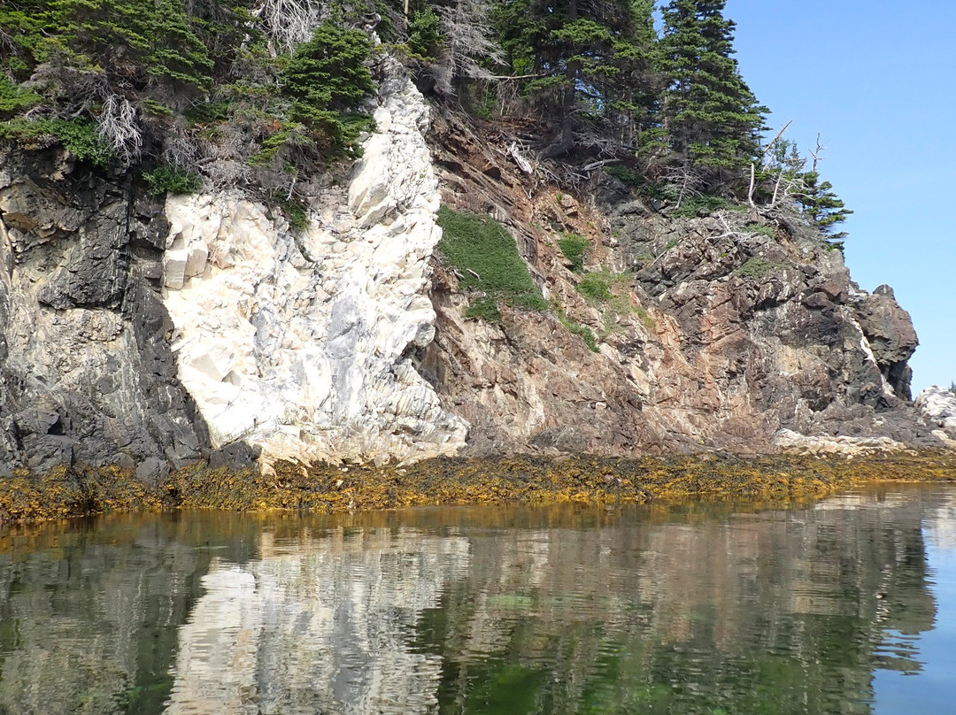 Adventures Newfoundland-Fortune Harbour必去景点