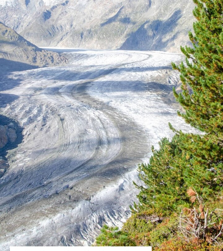 阿莱奇峰-少女峰区必去景点