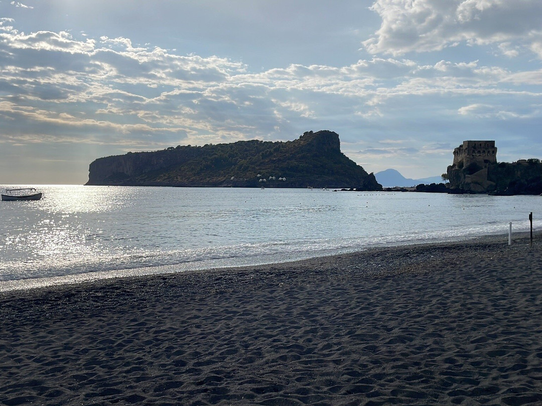 Residence Le Magnolie主图