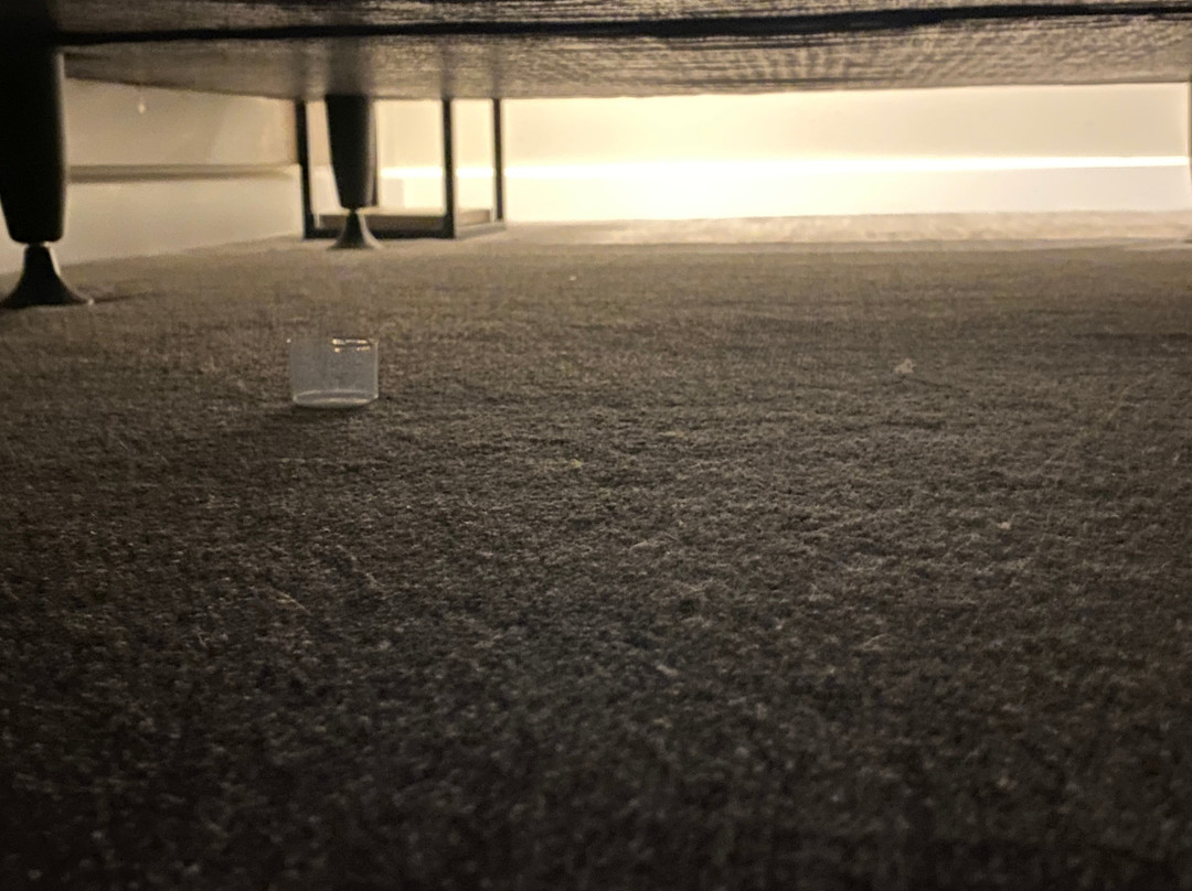 Tŷ Milford Waterfront主图