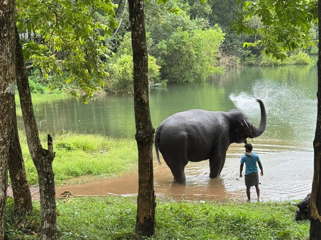 Sree Padmanabhaswamy Temple-提卢湾安塔普兰（特里凡德伦）必去景点