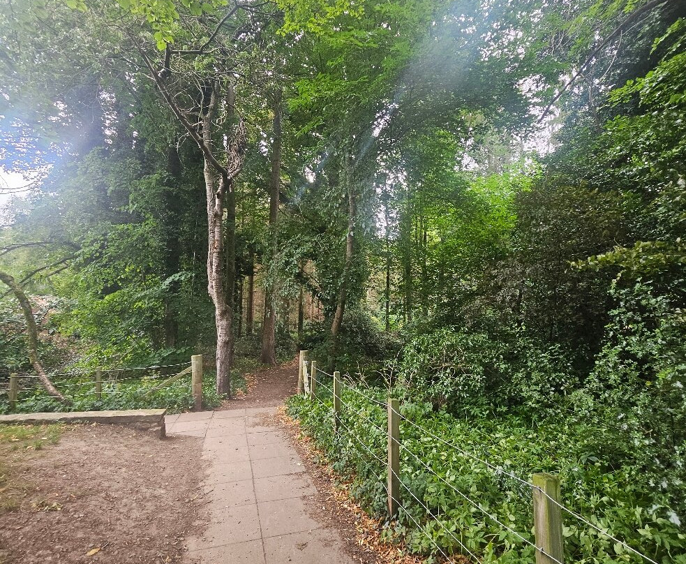 推特代尔纹章酒店主图