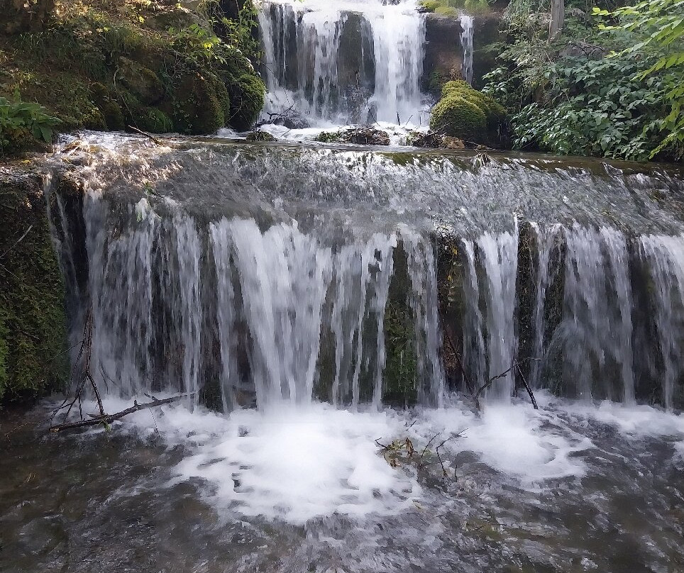Parco Naturale la Sponga-Canistro必去景点