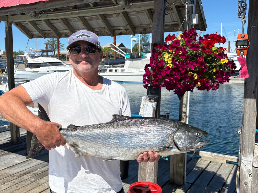 Absolute Sportfishing-坎贝尔里弗必去景点