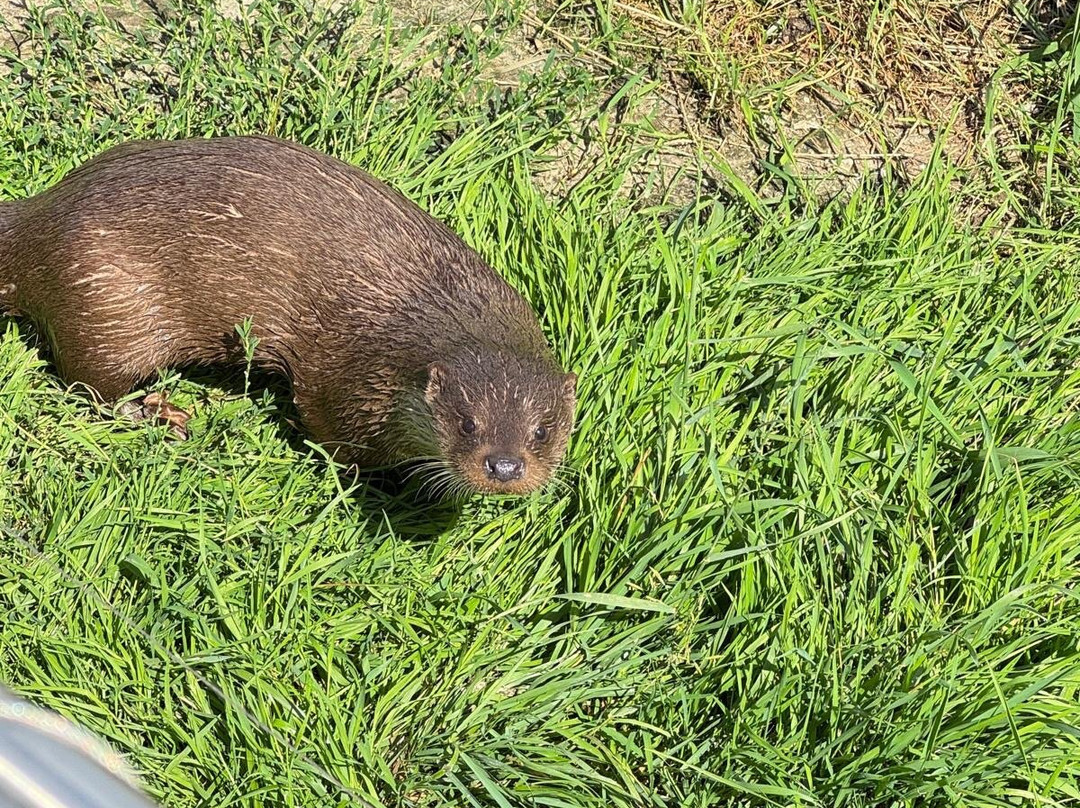 Multimar Wattforum-Toenning必去景点