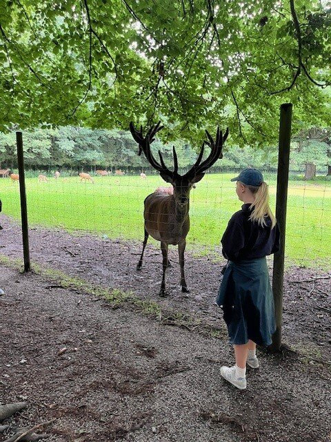 Wildpark Poing-Poing必去景点