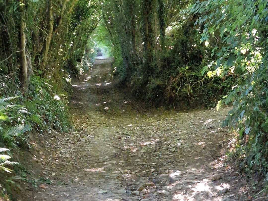 Cadbury Castle-South Cadbury必去景点