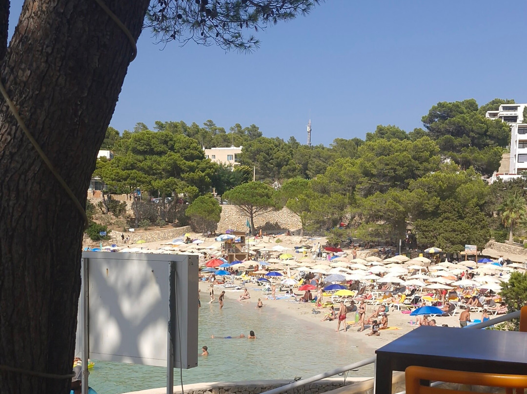 Playa S'Arenal Petit-波蒂那茨必去景点