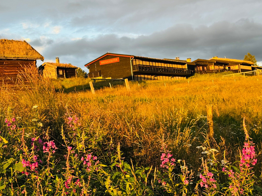 伯勒克萨特酒店主图