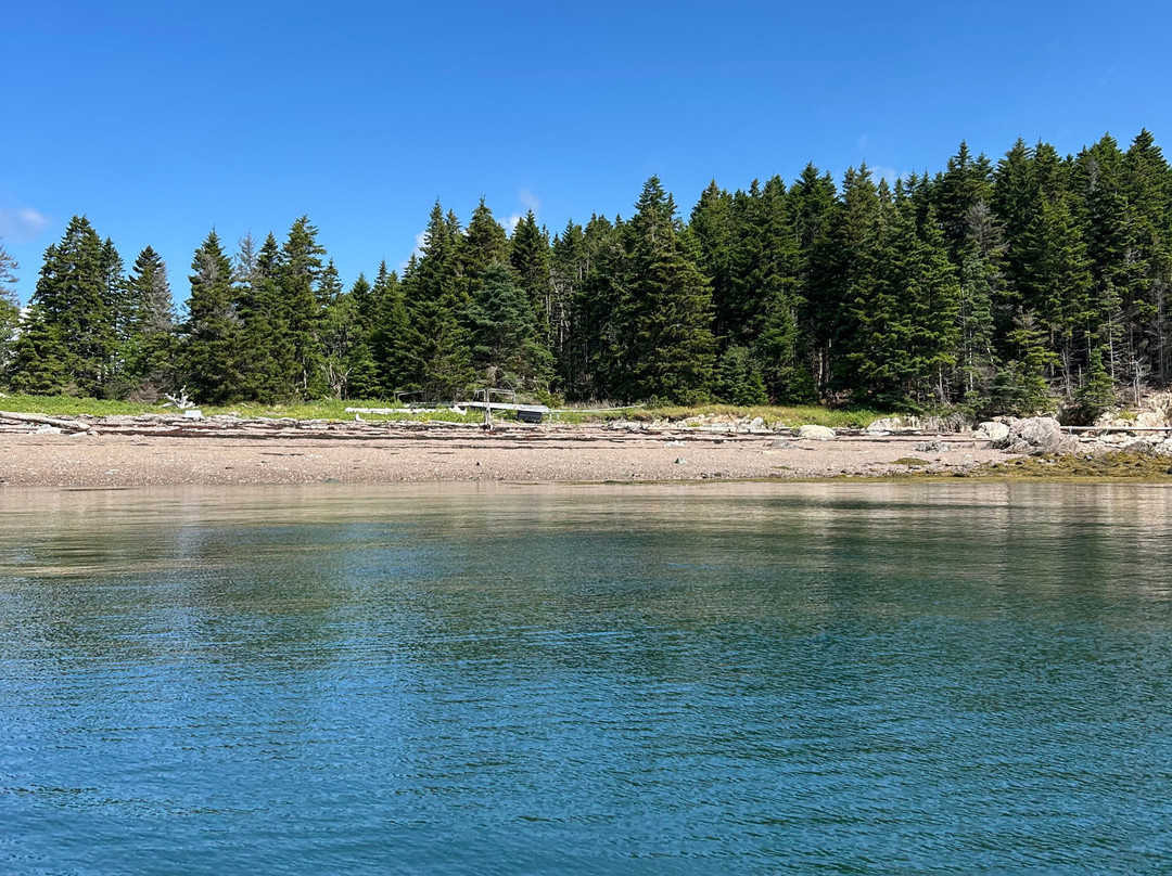 Seascape Kayak Tours Inc.-Deer Island必去景点