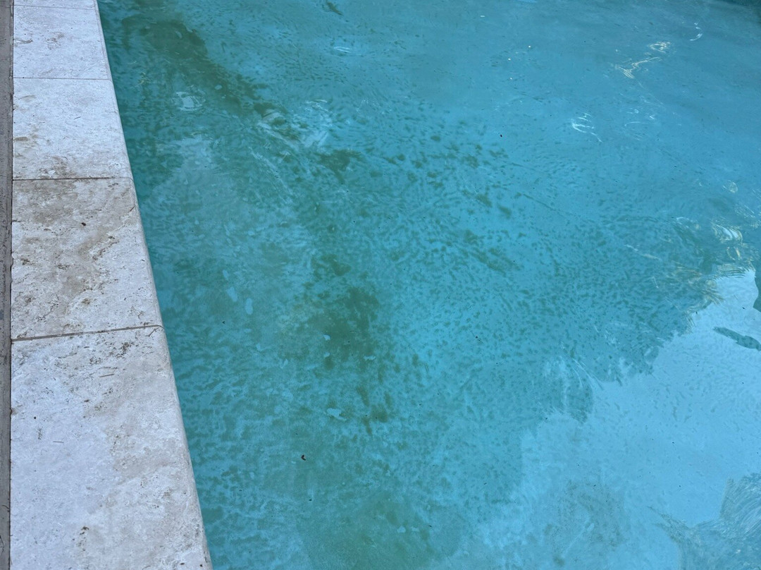 LOGE Alta Crystal主图