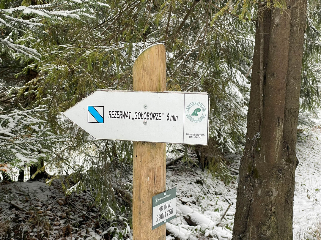 Rezerwat Przyrody Gołoborze