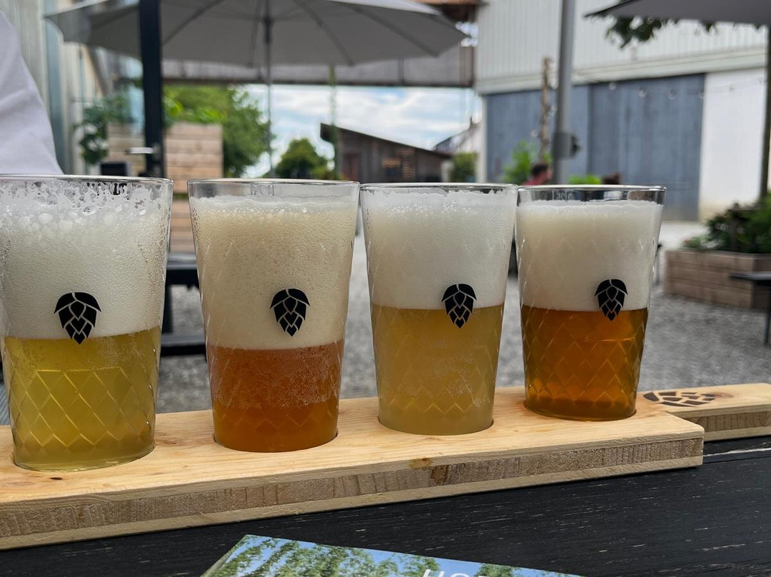 Hopfengut N°20-Tettnang必去景点