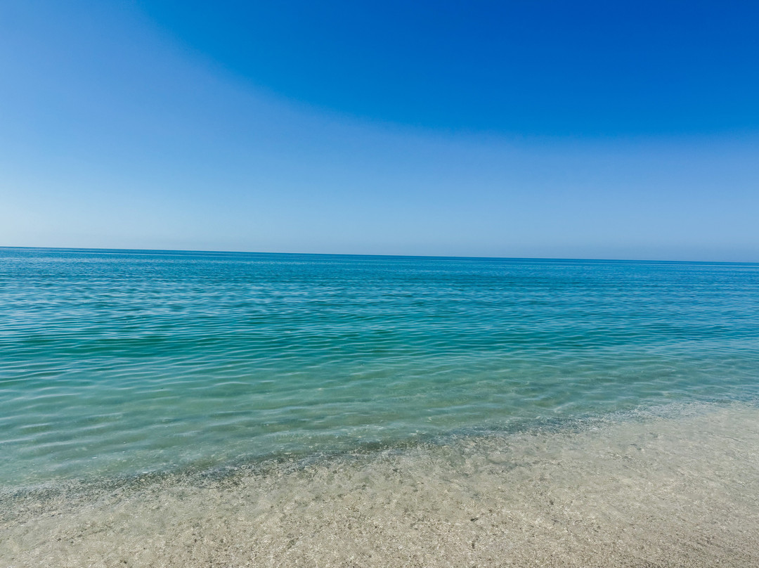 Pearl Beach Inn主图