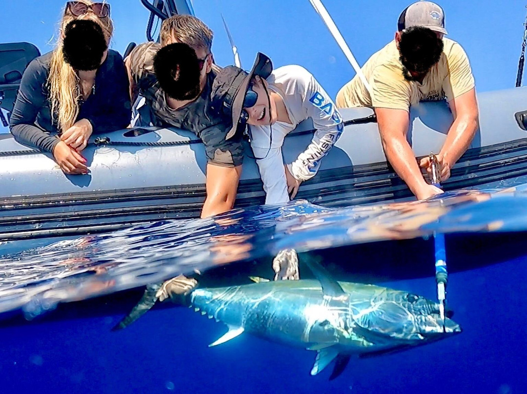 Experience Peche-Port Camargue必去景点