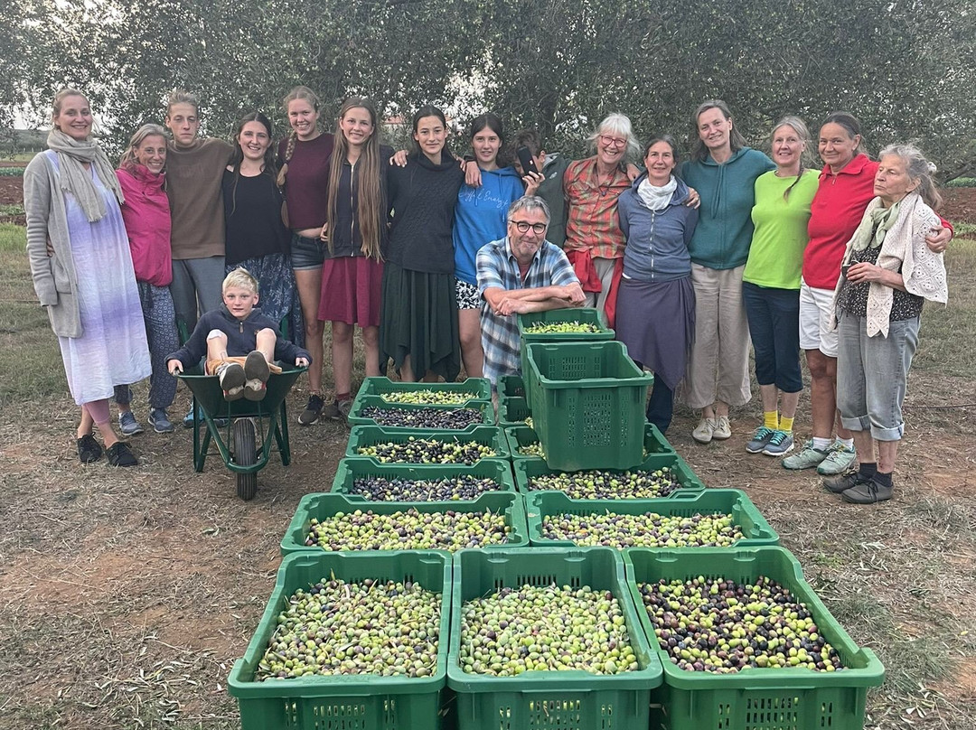 Jacob's Olive-Sveti Filip i Jakov必去景点