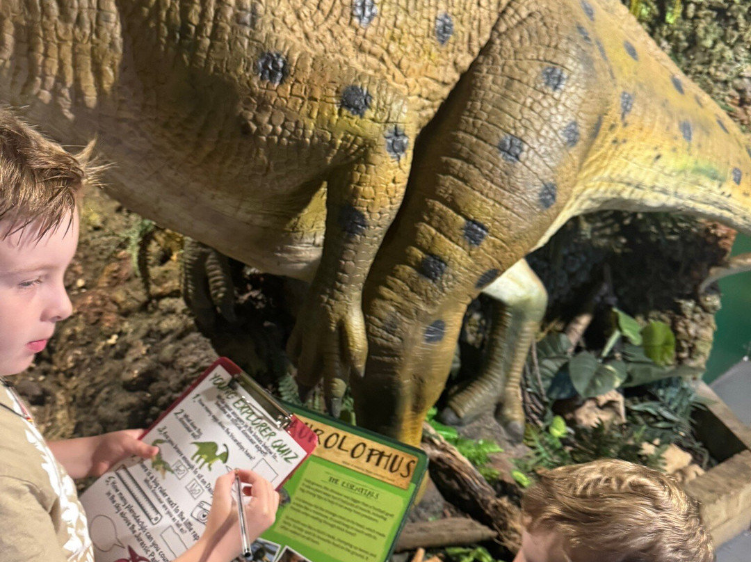 Torquays Dinosaur World-托基必去景点