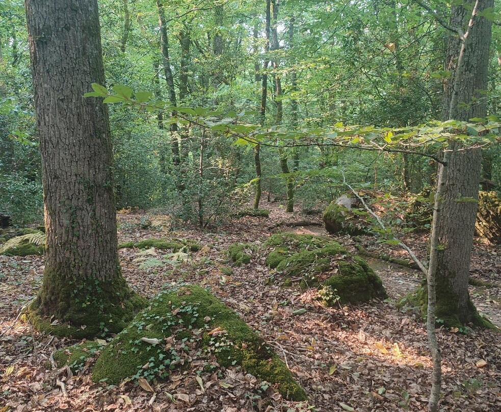 Parc des Parelles-Crevant必去景点