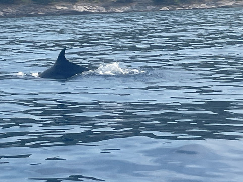 Rent A Roberts-苏佩塔尔必去景点