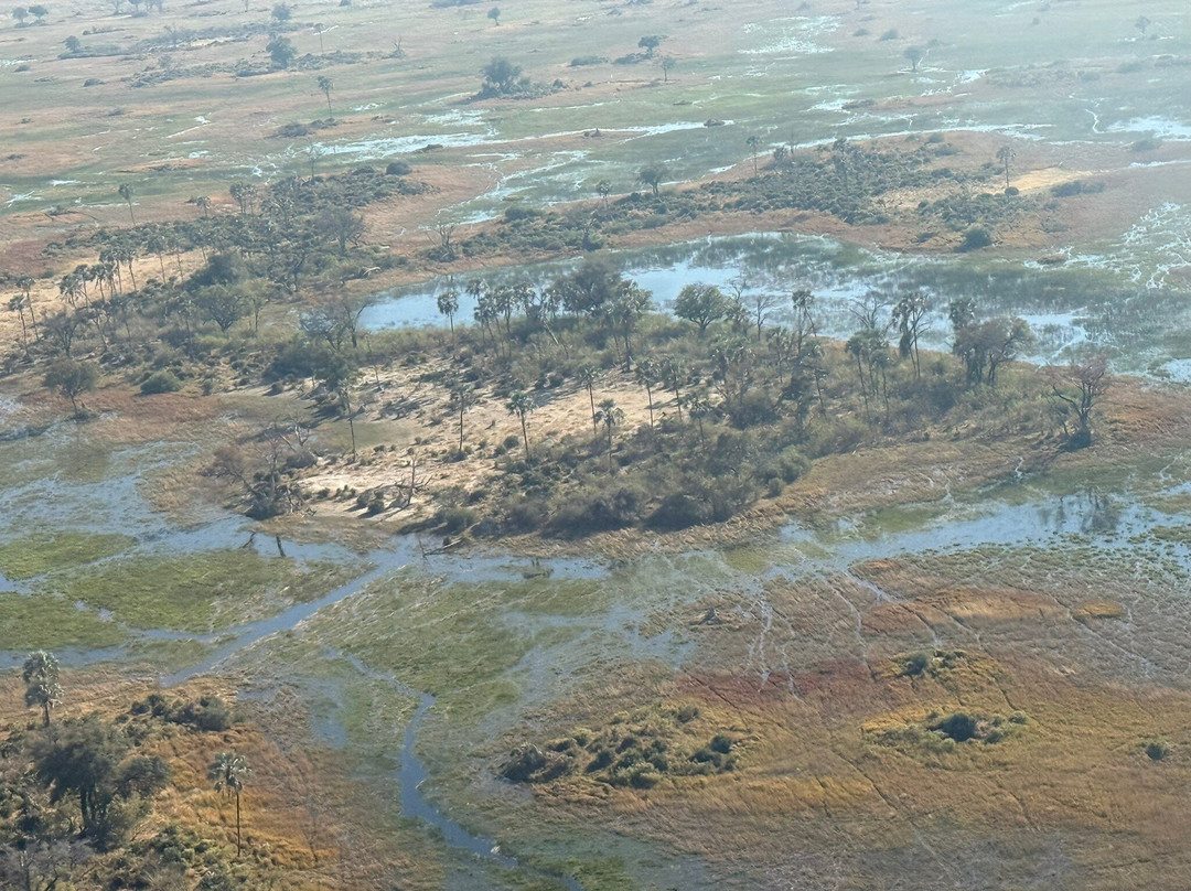 Savanna Safaris and Tours-马翁必去景点