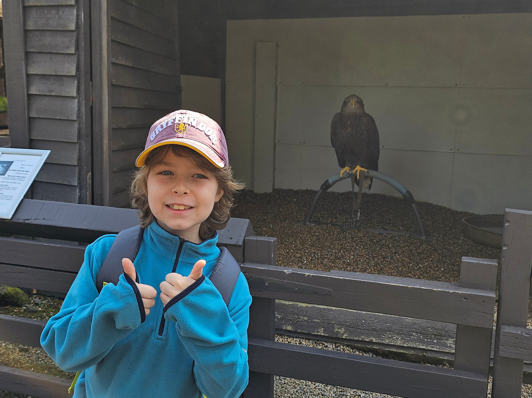 Kielder Water Bird of Prey Centre-Kielder必去景点