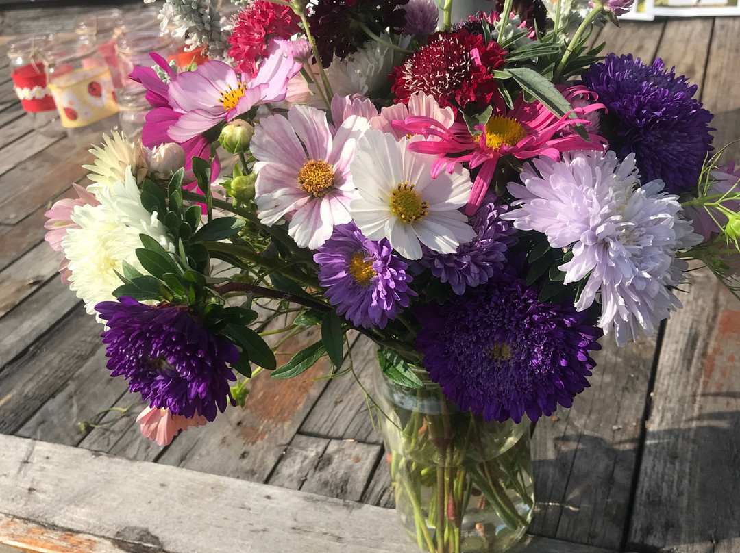 Pick Your Own Buxlow Blooms-Knodishall Green必去景点