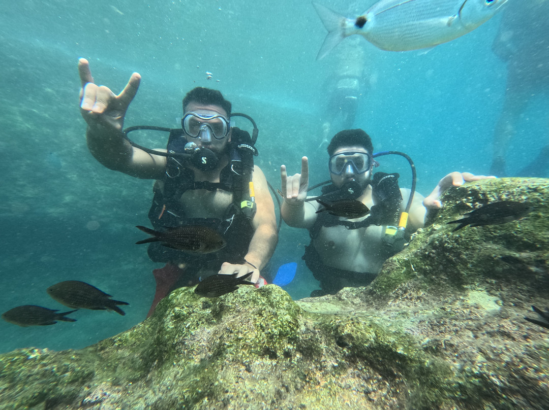Octopus Diving Center-凯梅尔必去景点