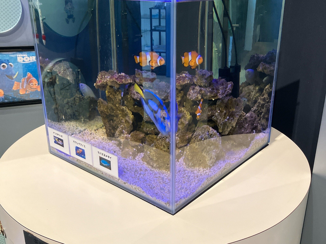 Deep Water Museum-烧津市必去景点