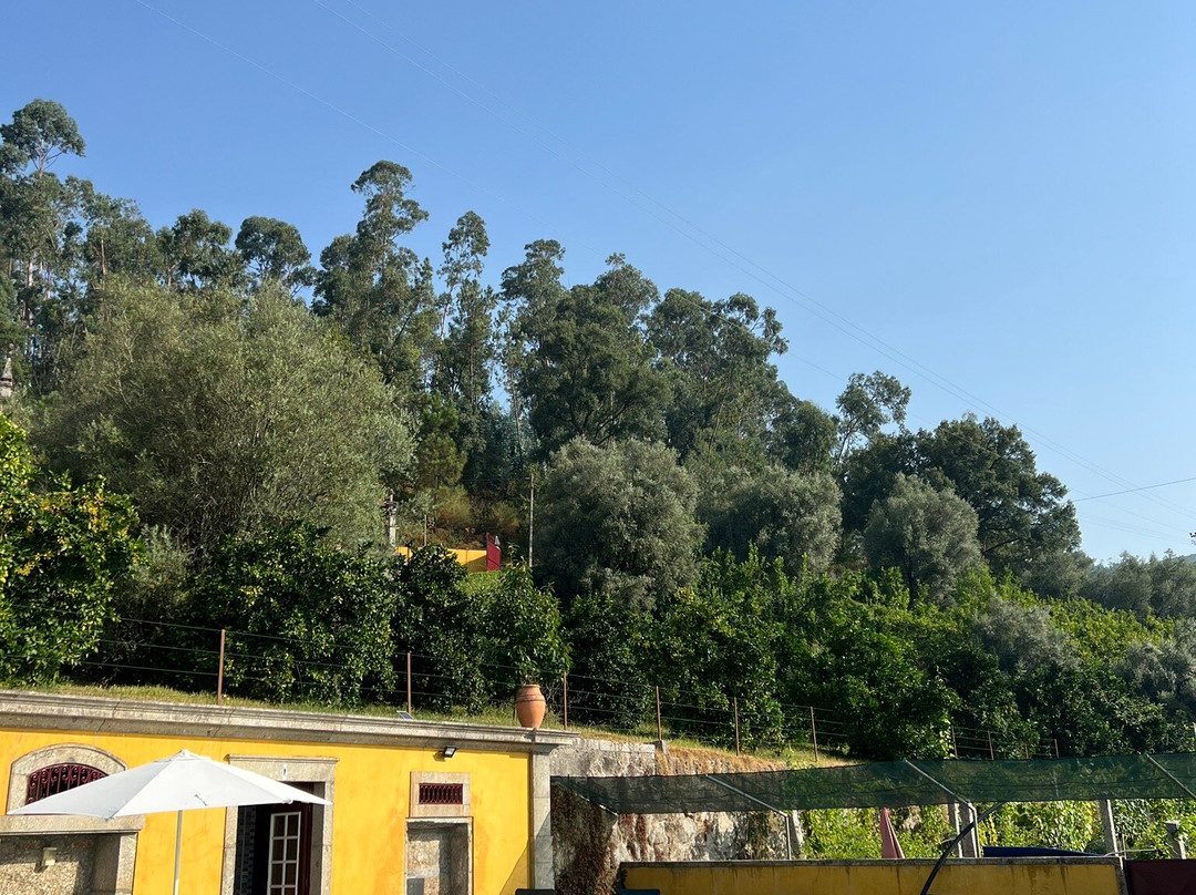 Quinta do Rocha主图