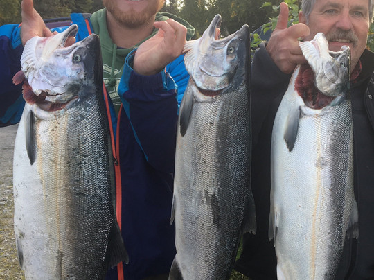 Hook Line & Land Em Fishing Adventures-基奈必去景点