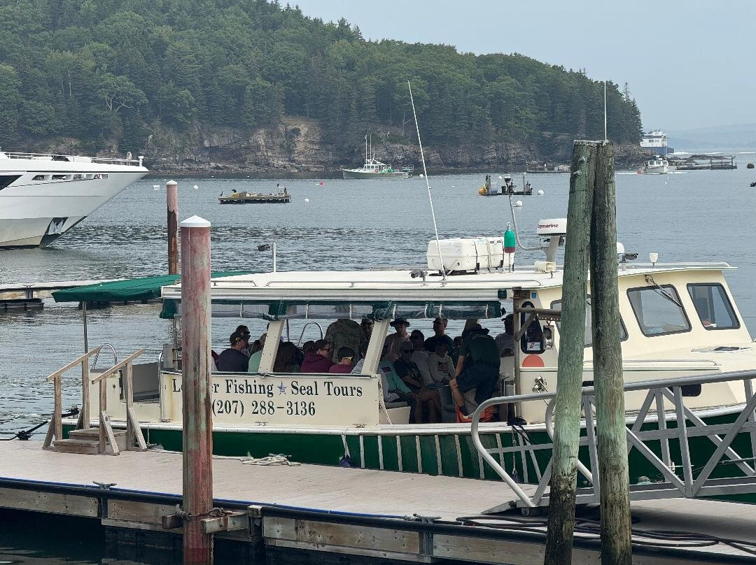 Little Fig Hotel主图