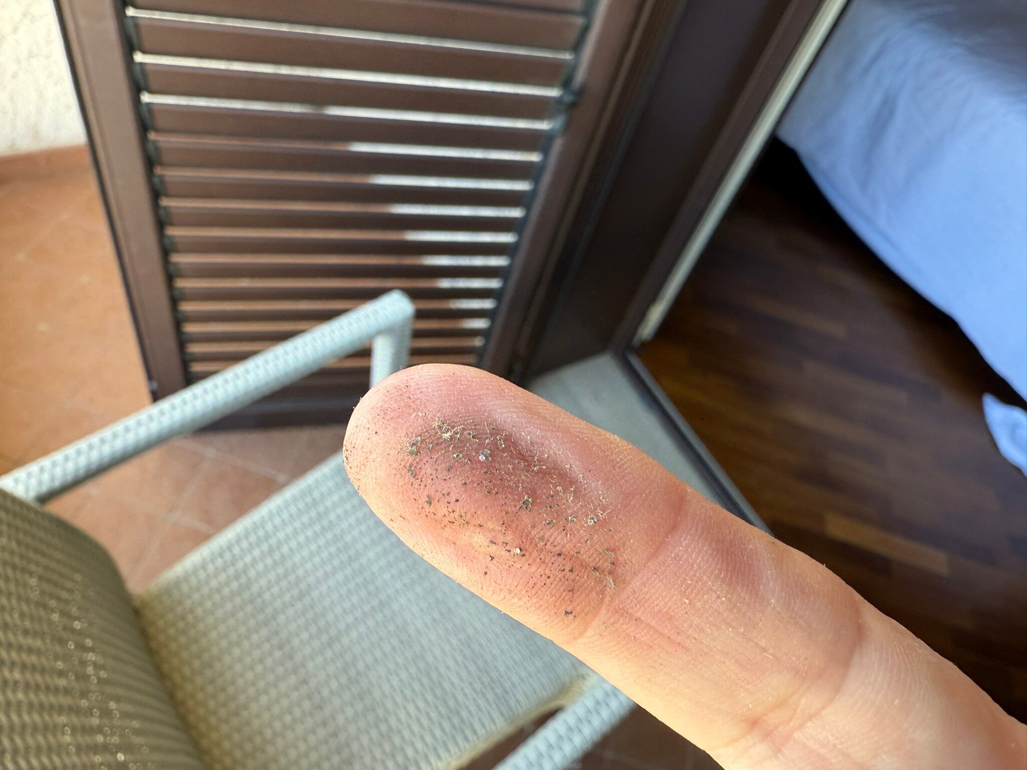 巴亚威德酒店-官方