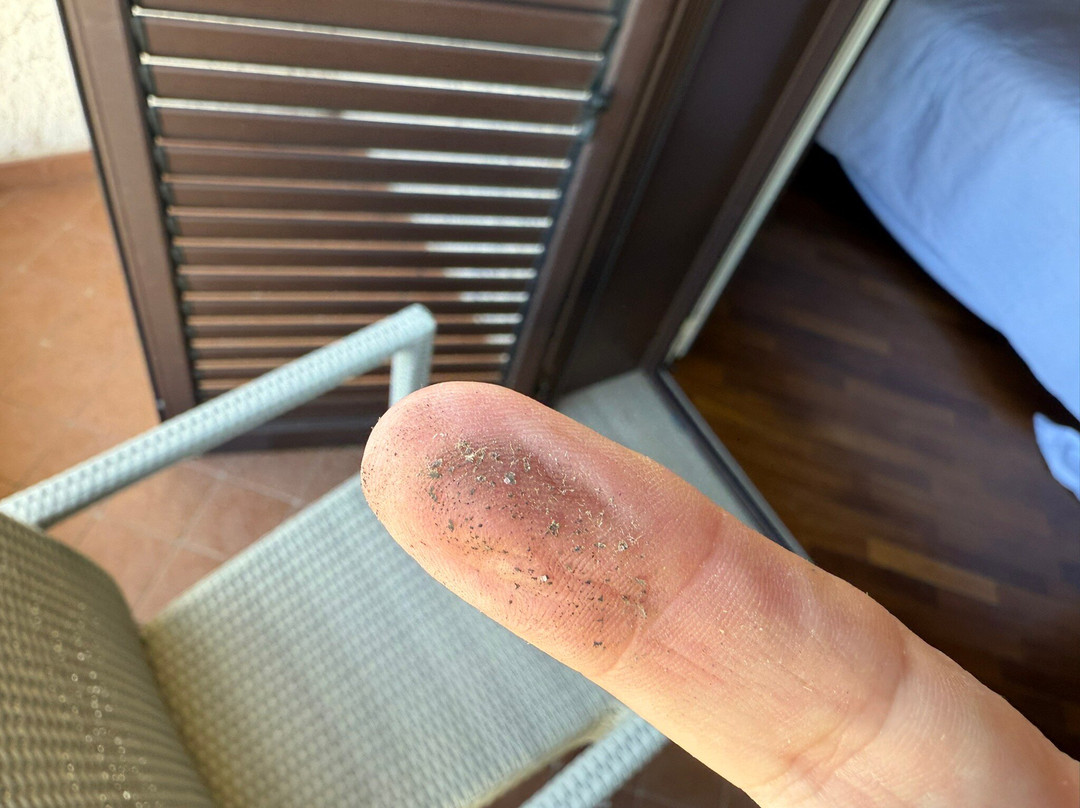 巴亚威德酒店主图