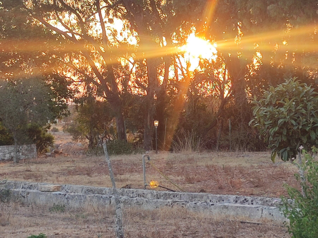 Masseria Uccio主图