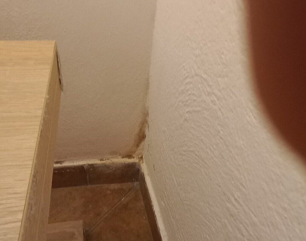 博尔戈安蒂科酒店主图