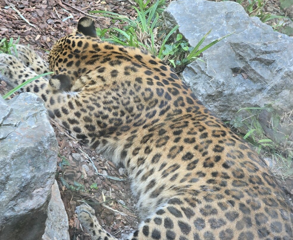 Zoo Zagreb-萨格勒布必去景点