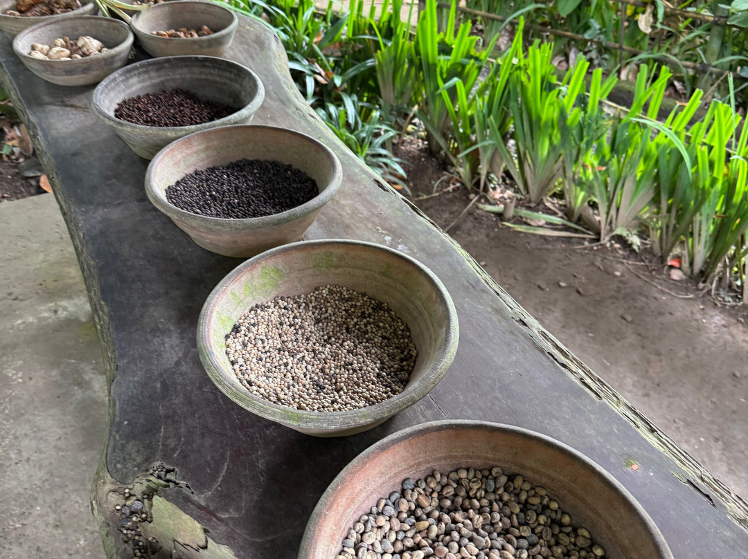 Bali Unique Driver-巴厘岛必去景点