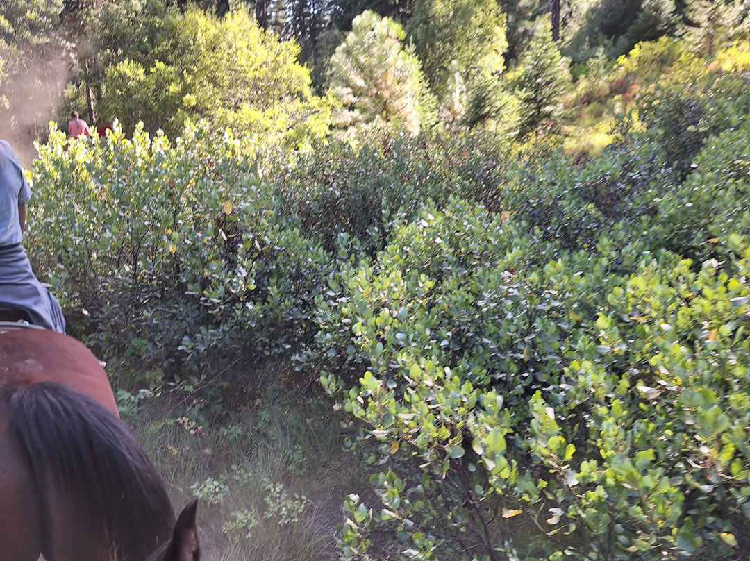 Ya-Hoo Corrals-McCall必去景点