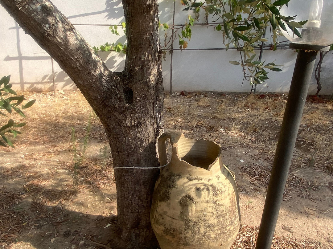 Il Giardino B&B主图