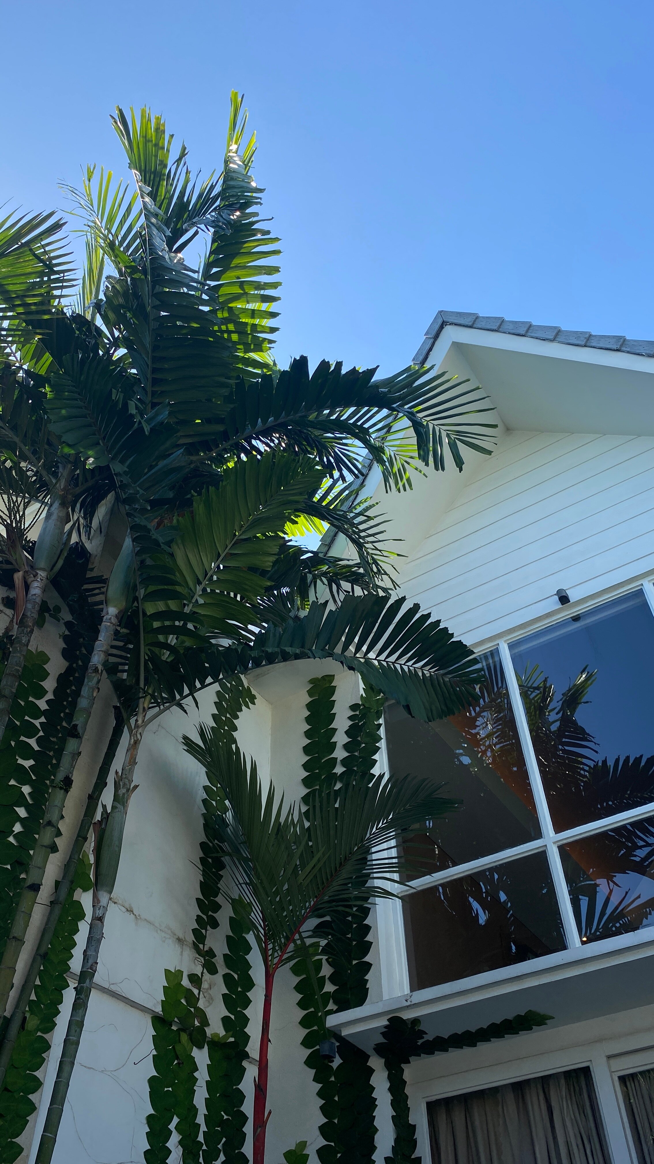 Aeera Villa Canggu By Ini Vie Hospitality-官方