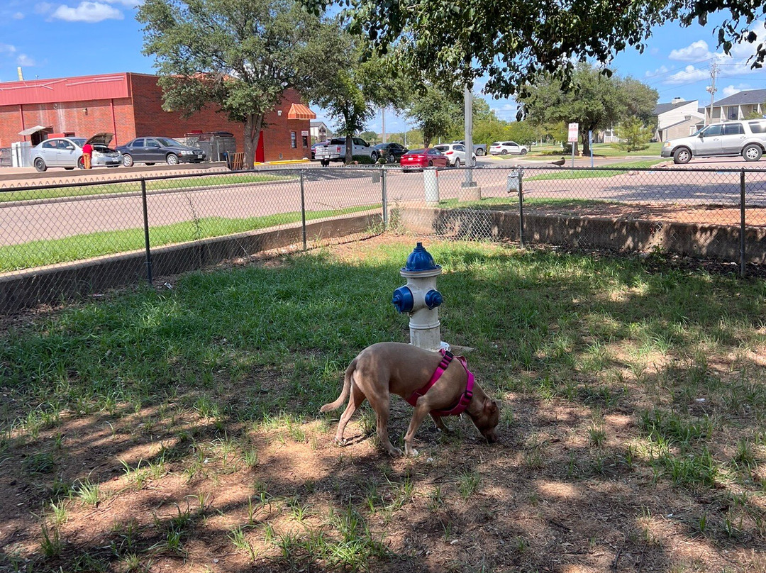 Staybridge Suites Wichita Falls By IHG主图