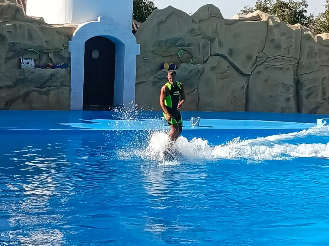 Dolphinarium-Yeysk必去景点