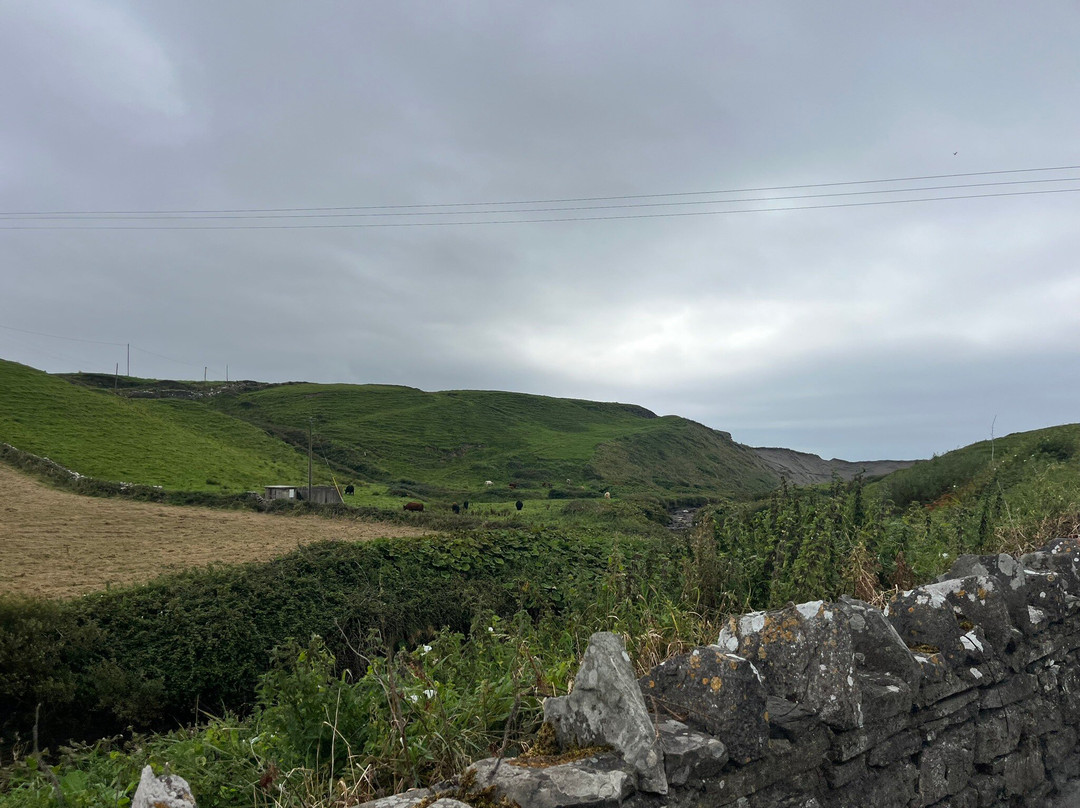 Wild Atlantic Seaweed Baths-Ballaghaline必去景点
