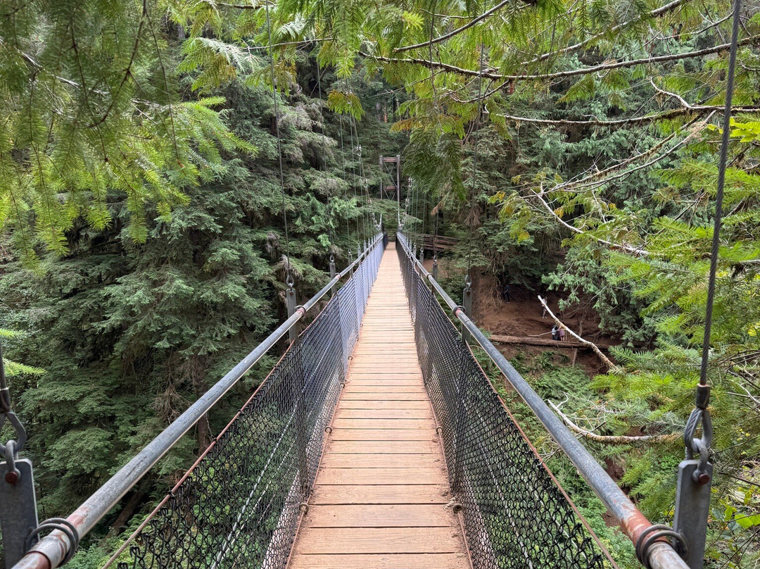 Drift Creek Falls Trail-Otis必去景点