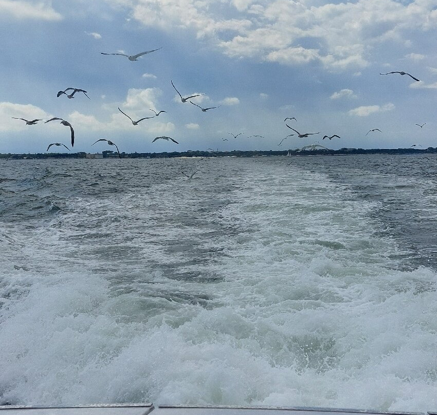 Motonave New Ghibli-切塞纳蒂科必去景点