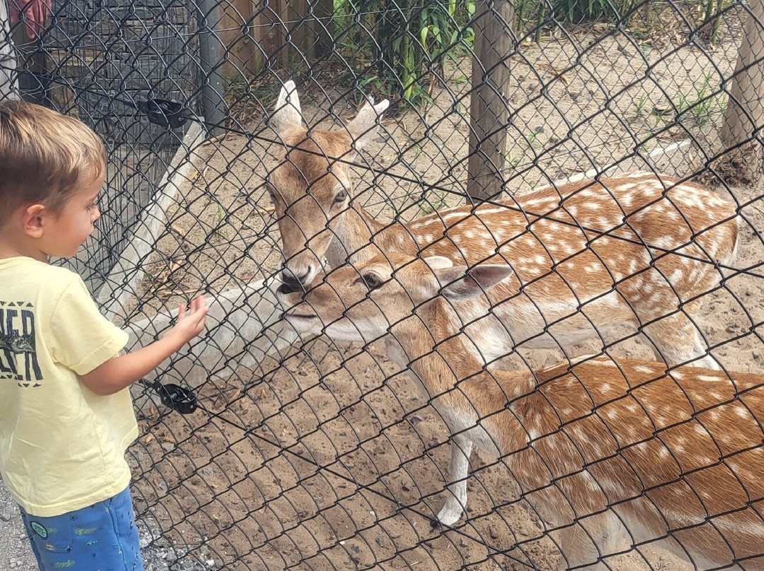 Zoo De Labenne-Labenne必去景点