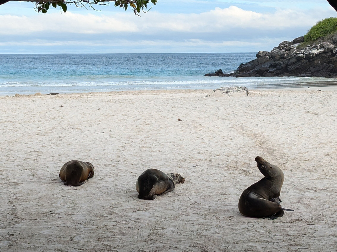Puerto Chino Beach-圣克里斯托瓦尔必去景点