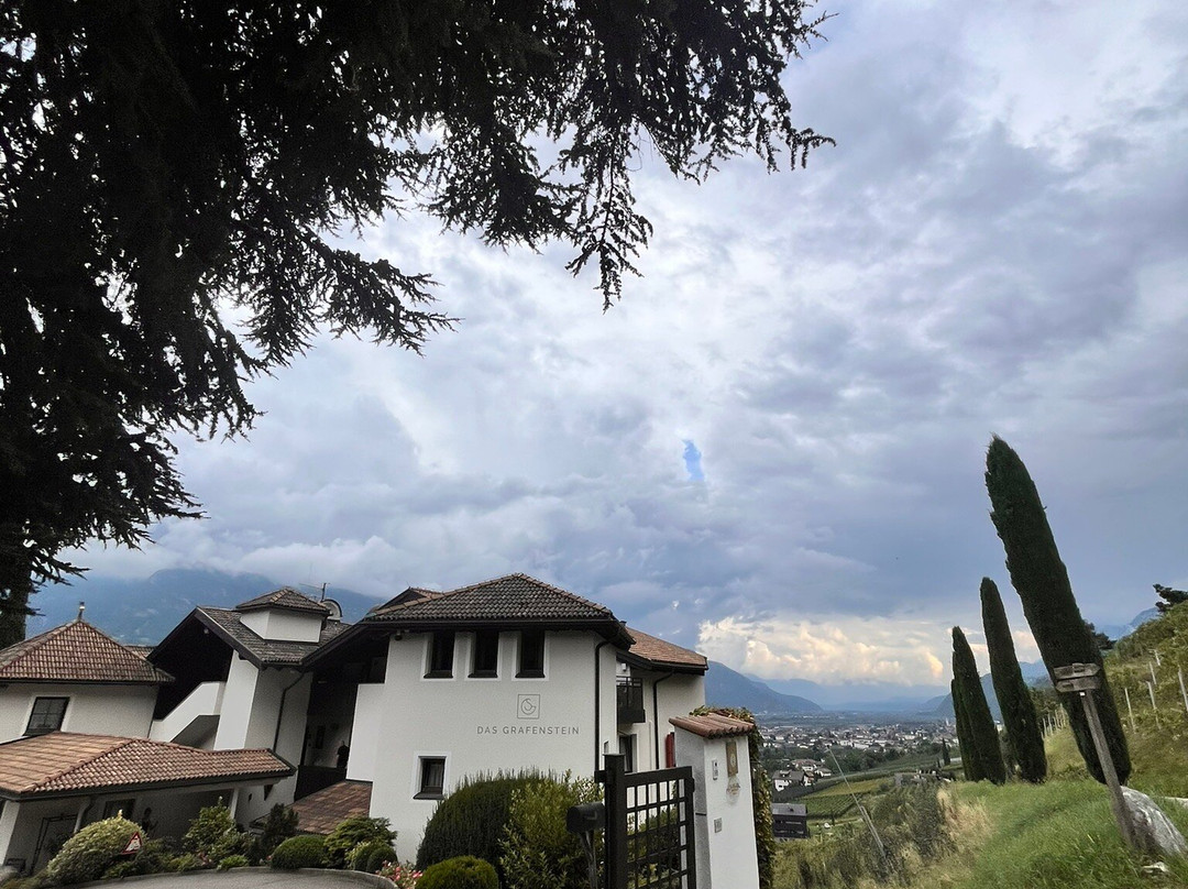 Das Grafenstein Familienresidence主图