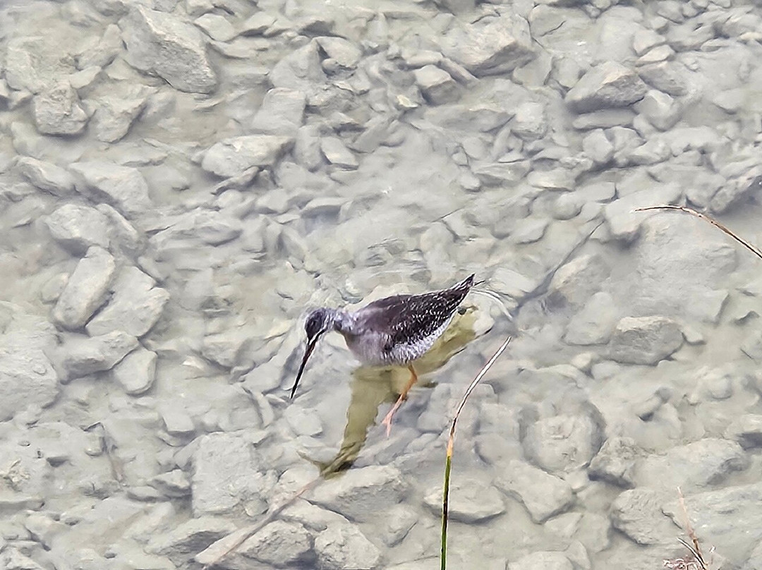 Vransko Jezero Nature Park-奥格勒纳莫鲁必去景点